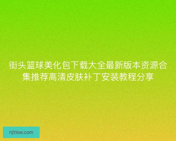 街头篮球美化包下载大全最新版本资源合集推荐高清皮肤补丁安装教程分享